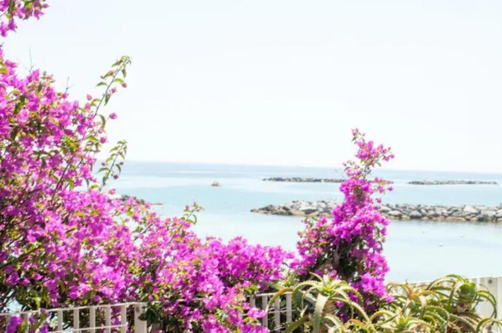 Casa Vacanza Rossella Sanremo Esterno foto