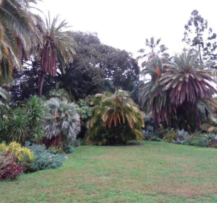Casa Vacanza Rossella Sanremo Esterno foto